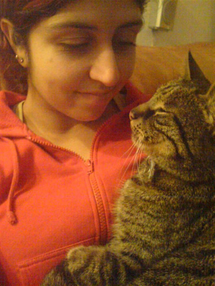 Huskat kenzo - it´s all love baby billede 20