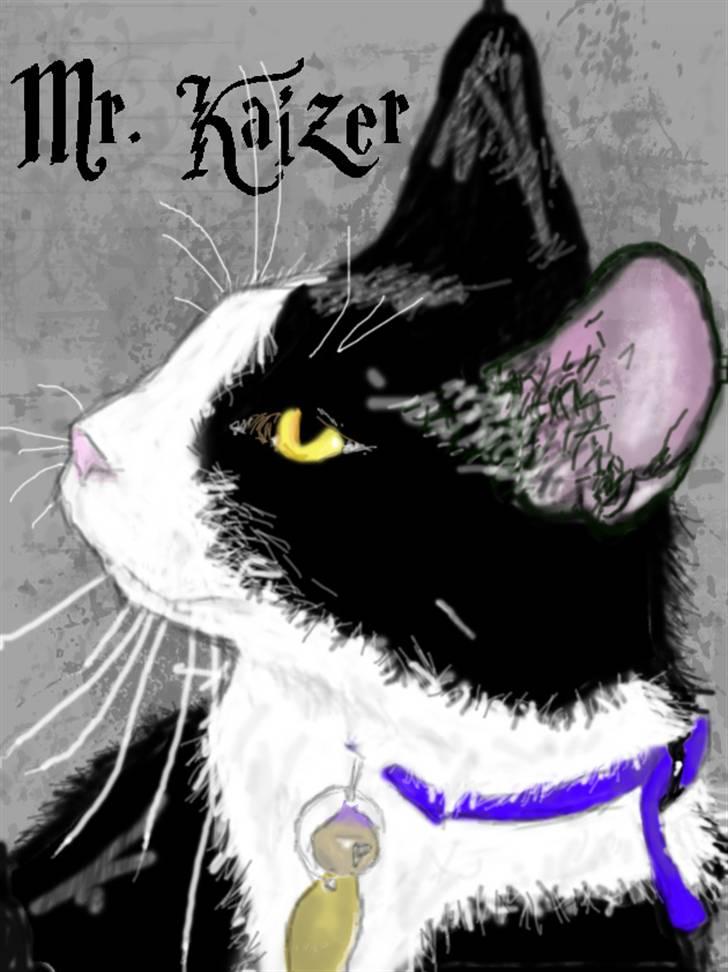 Huskat Mr. Kaizer billede 4