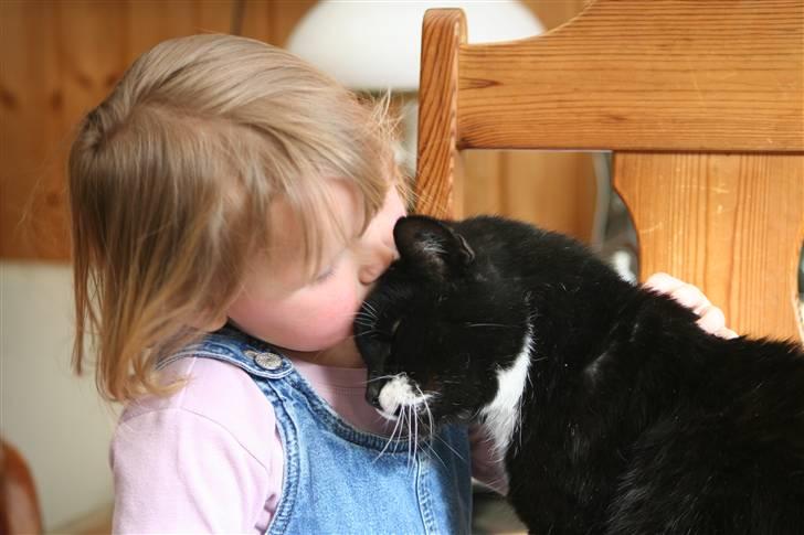 Blanding af racer Sylle *RIP* billede 5