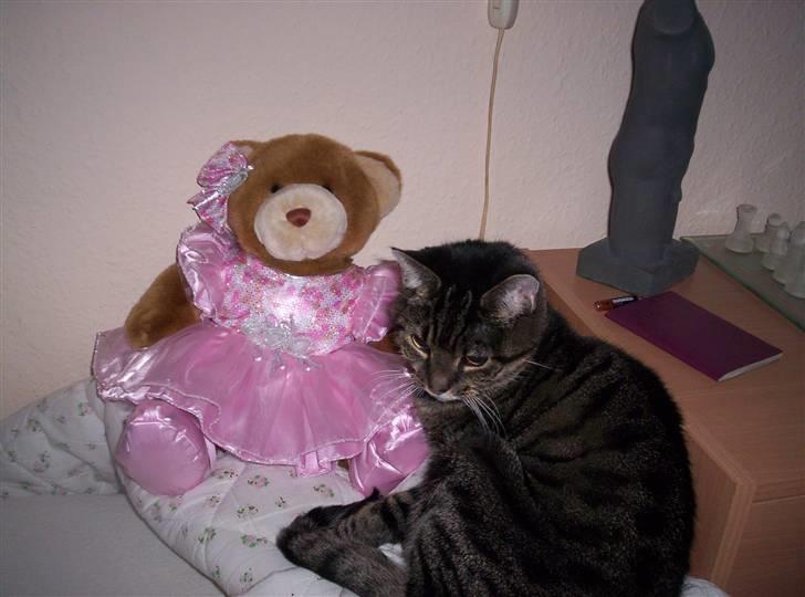 Huskat Turbo (RIP) - hvil i fred billede 3