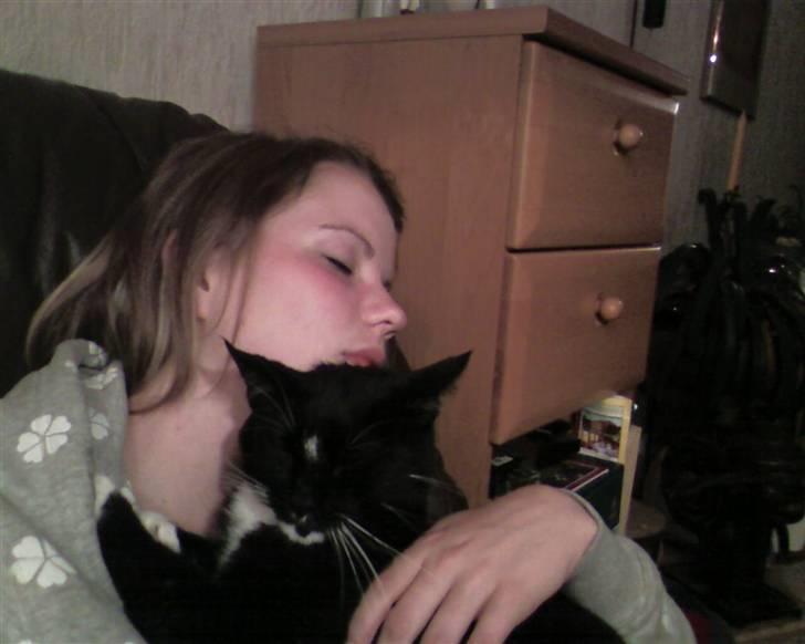 Huskat Mis - haha mor sover.. jeg indtager lige hendes mave som seng billede 2