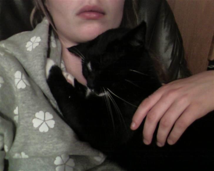 Huskat Mis billede 3