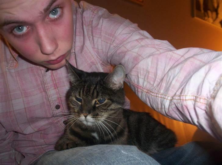 Huskat Turbo (RIP) - RIP billede 9