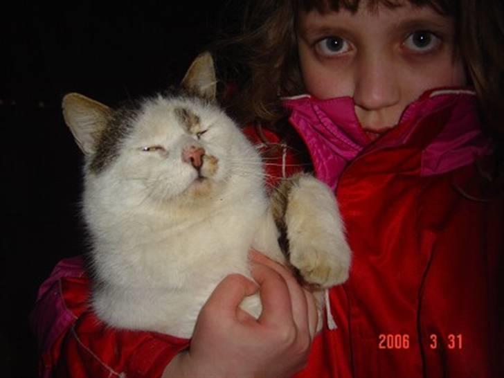 Huskat Garfield<3 billede 3