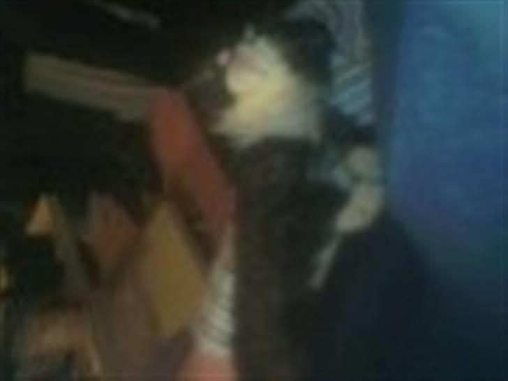 Blanding af racer Bøhh billede 9