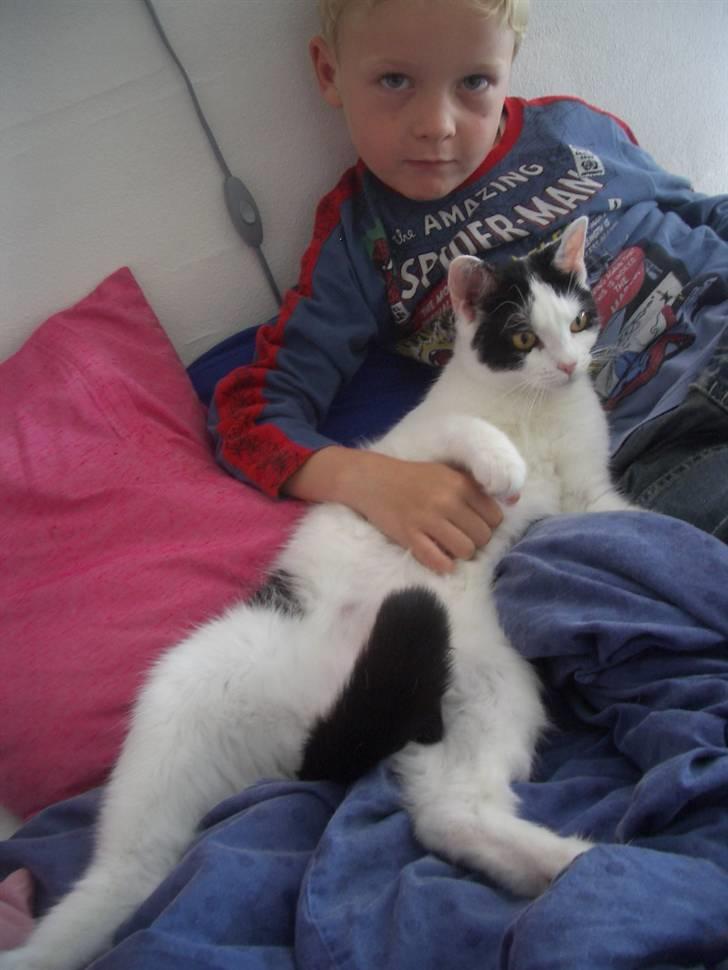 Huskat Nikoline - "Der er ik noget bedre end at ligge med Lillebror Jonas, så længe han er sød." billede 17