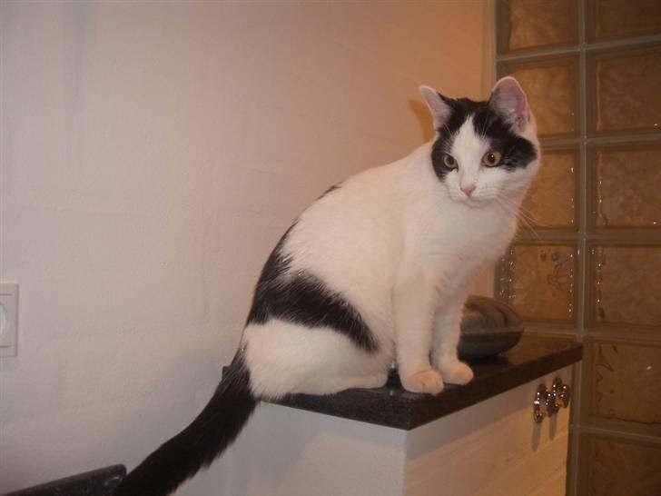 Huskat Nikoline - Lige et smut på badeværelset. :) billede 18