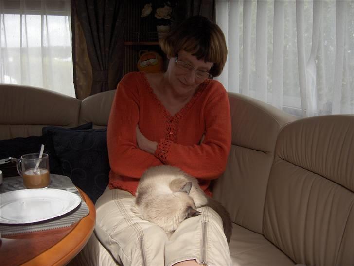 Siameser Fie  Død 10-o4-08.  20 år - Mor og Fie på camping. billede 4