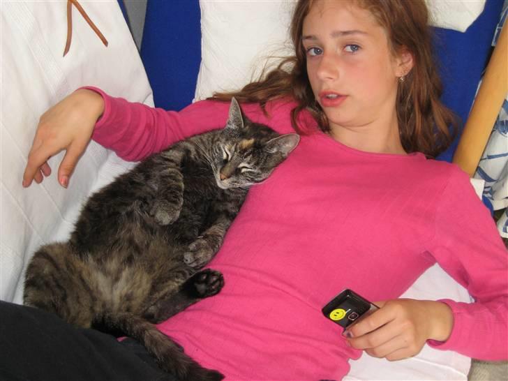 Huskat Mini <3 - Min egen lille kælepot!!! <3  billede 6