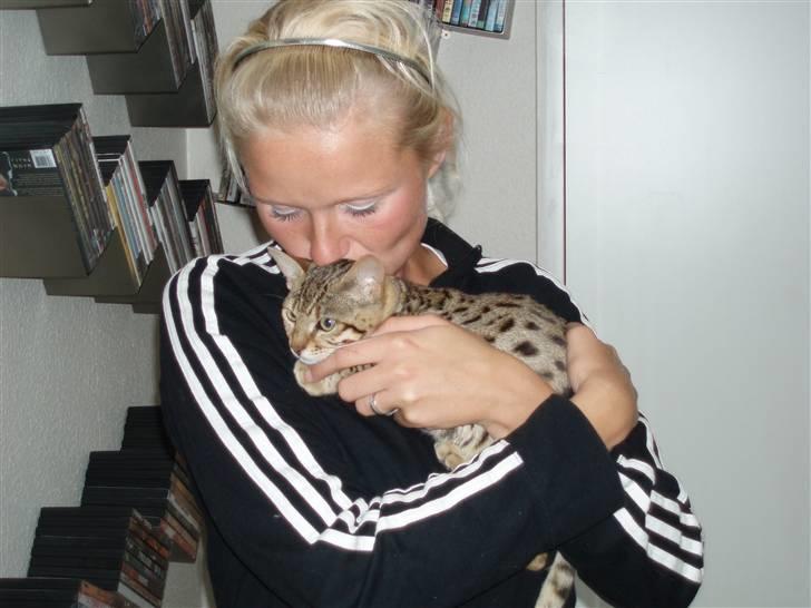 Bengal Cleo - mig og min mor:-) billede 6