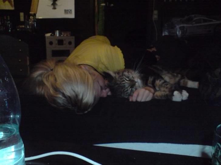 Norsk Skovkat Rofus - Mig og Rofus ligger arm i arm og put sover :) billede 7