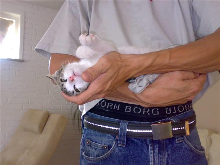 Huskat Snoopy - Jeg blev lidt træt. billede 2