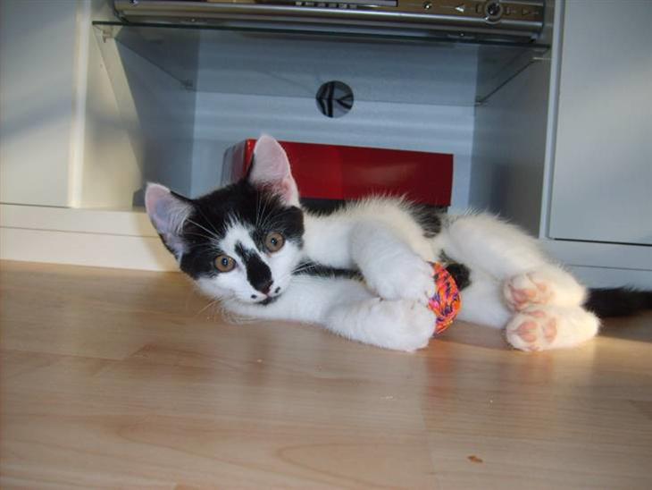 {{currentPhoto.altText}} billede {{currentPhoto.number}}