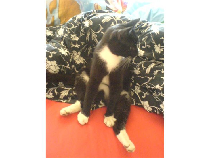 {{currentPhoto.altText}} billede {{currentPhoto.number}}