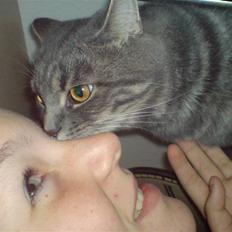 Blanding af racer Kenzo