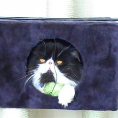 Perser DK Ambæk´s Design Boss