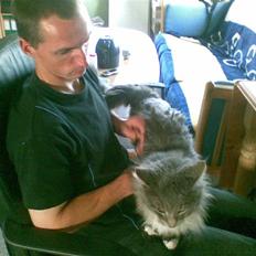 Maine Coon R.I.P  Gismo