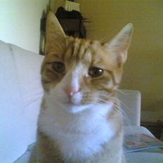 Huskat Michael R.I.P.