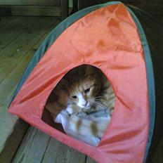 Huskat Michael R.I.P.