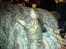 Blanding af racer Main coon bla. Iggy... - han elsker allerede cameraet