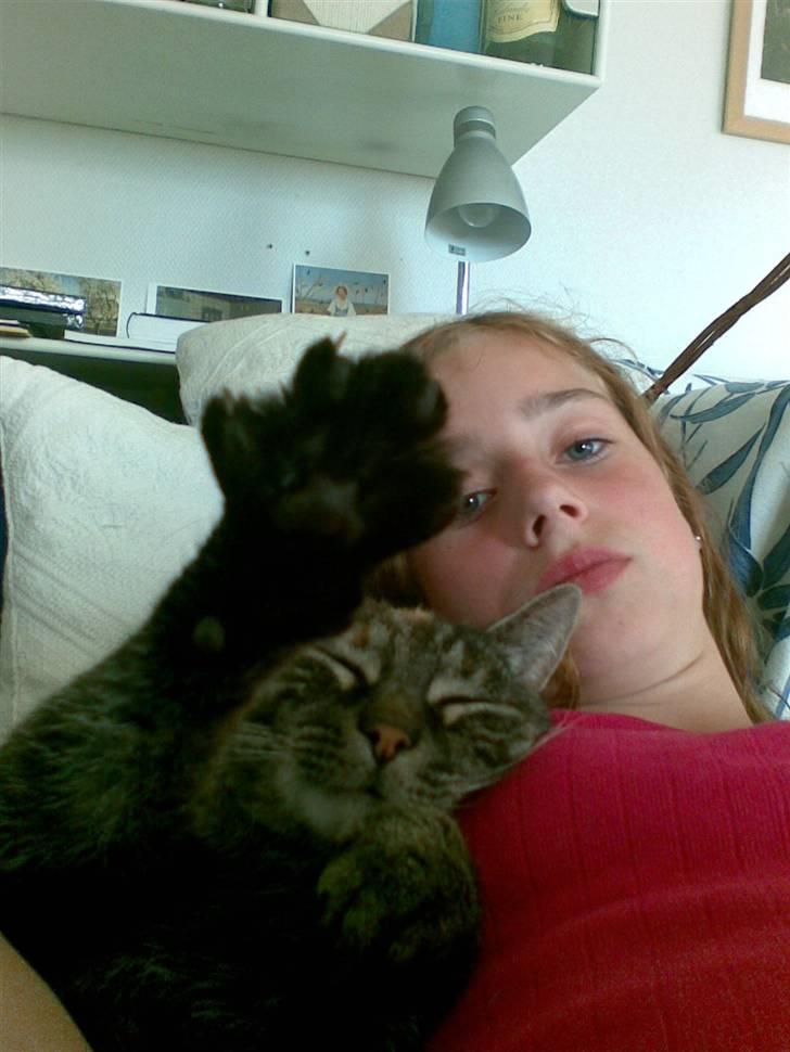 Huskat Mini <3 billede 10