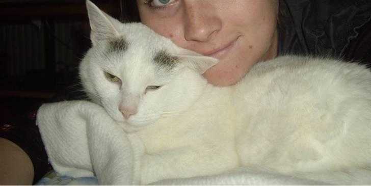 Huskat Elvis - R.I.P. smukke <3 billede 15