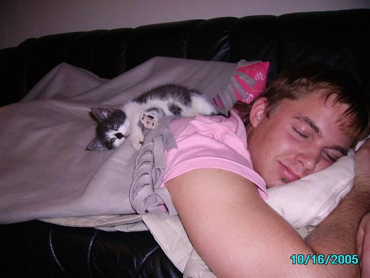 Huskat Herman - Her ligger mig kæreste og Herman og får en lille morfar på sofaen :) billede 3