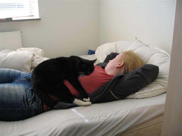 Huskat Mis - Hyggetid ;-) billede 3