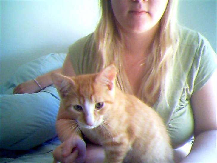 Huskat Aslan - Hans første billede.. :) Svært at få ham til at sidde stille.. hehe billede 1