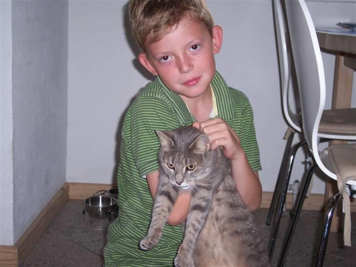 Huskat fifi - mig med min søde kat billede 9