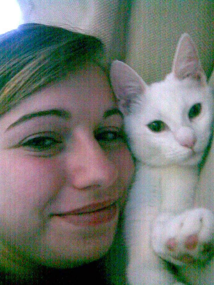 Blanding af racer Gizmo - Gizmo putter billede 5