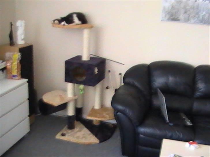 Perser DK Ambæk´s Design Boss billede 7