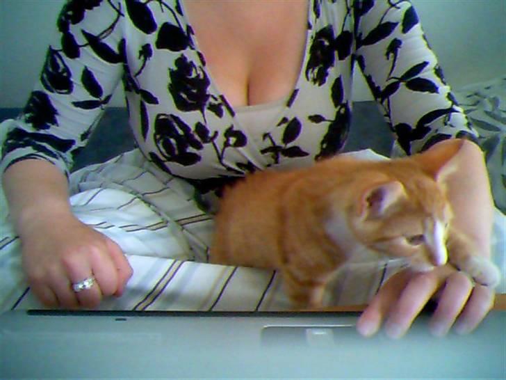 Huskat Aslan - Åh nej.. Chips på bordet.. Han opdagede det.. Han fostår bare ik at han ik kan tåle det..  billede 7