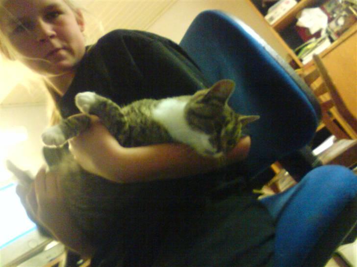 Huskat Sylvester! HAR FØDT - pjatter lige med krella..:-) billede 5