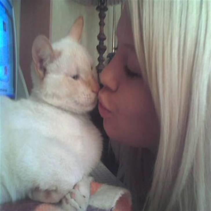 Huskat Blondi (Død) billede 10