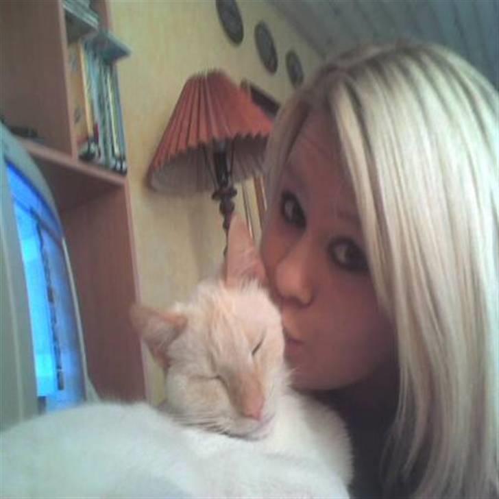 Huskat Blondi (Død) billede 11