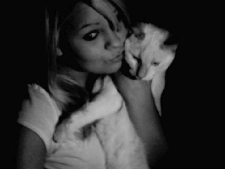 Huskat Blondi (Død) billede 13