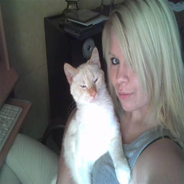 Huskat Blondi (Død) billede 14