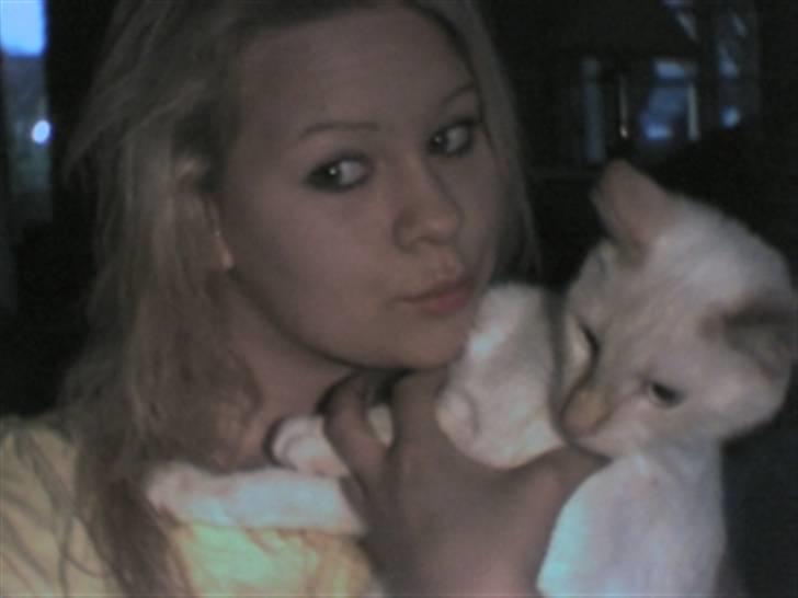 Huskat Blondi (Død) billede 15