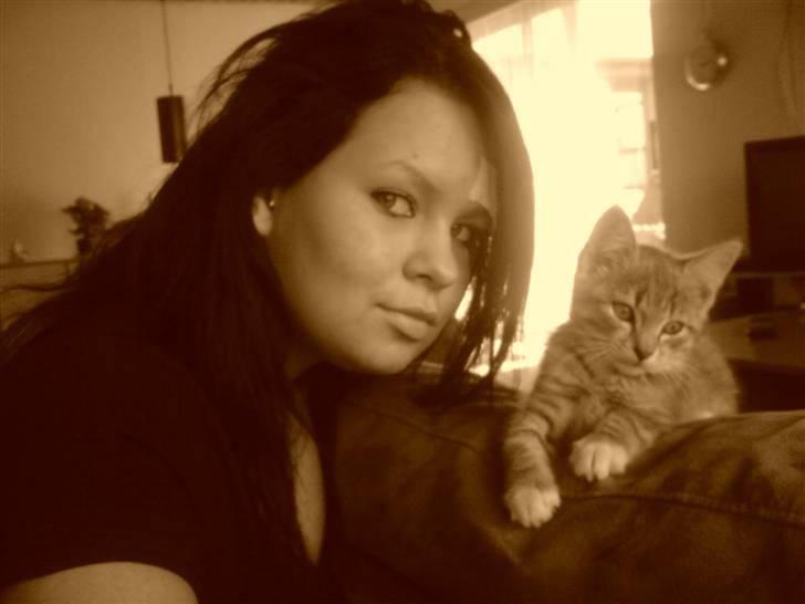 Huskat tiger ( væk? )  billede 10