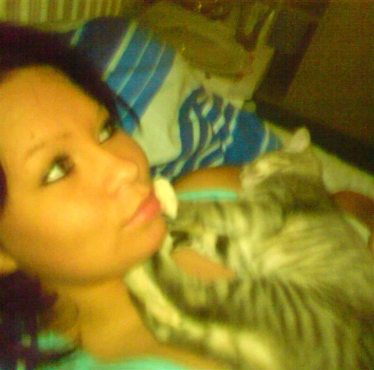 Huskat tiger ( væk? )  billede 13