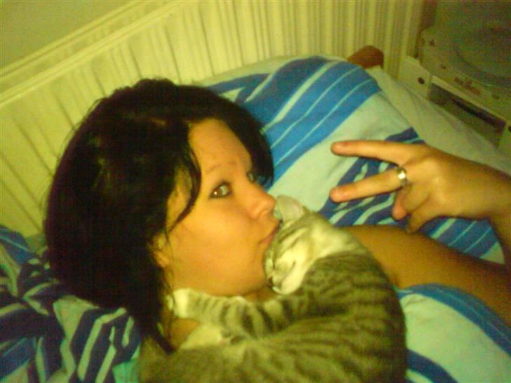 Huskat tiger ( væk? )  billede 14