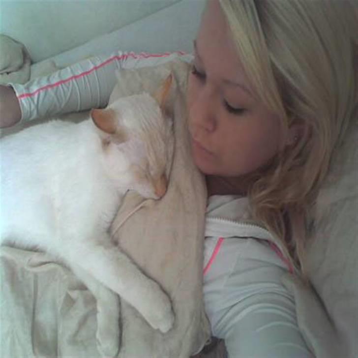 Huskat Blondi (Død) billede 18