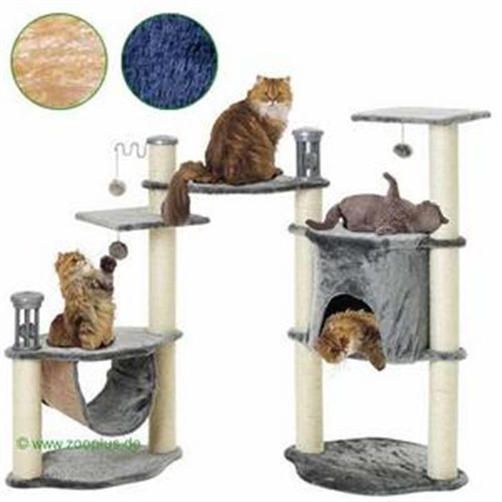 Norsk Skovkat Malle billede 14