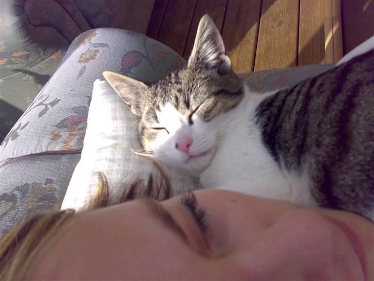 Huskat Snoopy - hygge hygge. billede 4