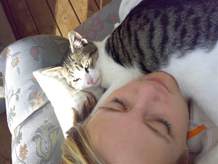 Huskat Snoopy - det er bare råhygge. :) billede 5