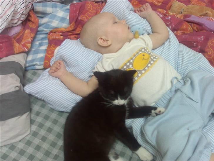 Huskat Niels - Her er Niels ca. 4 mdr... sammen med Phillip billede 5