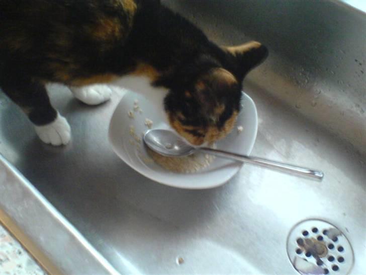 Blanding af racer Pjok <33 - Nam nam . Mums xD <33 billede 2