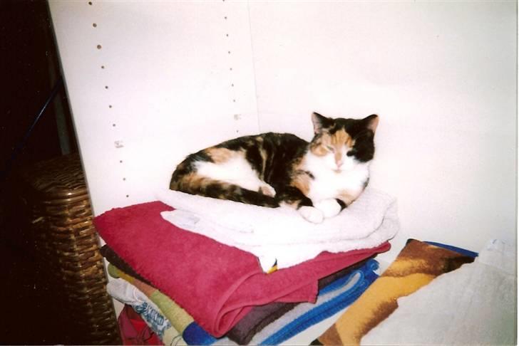 Blanding af racer Pjok <33 - Så vores hvide håndlæde :P xD billede 18