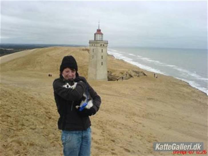 Huskat Herman - 06 - Her er Herman og jeg ved Rubjerg fyr, det var ikke så varmt igen, men det var helt sikkert noget Herman kunne bruge :) billede 12